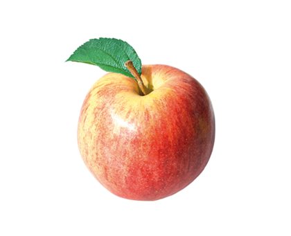Apfel, klein, Vorarlberg Milch Apfel, klein, Vorarlberg Milch