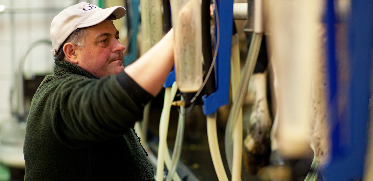 Helga 22, Vorarlberg Milch