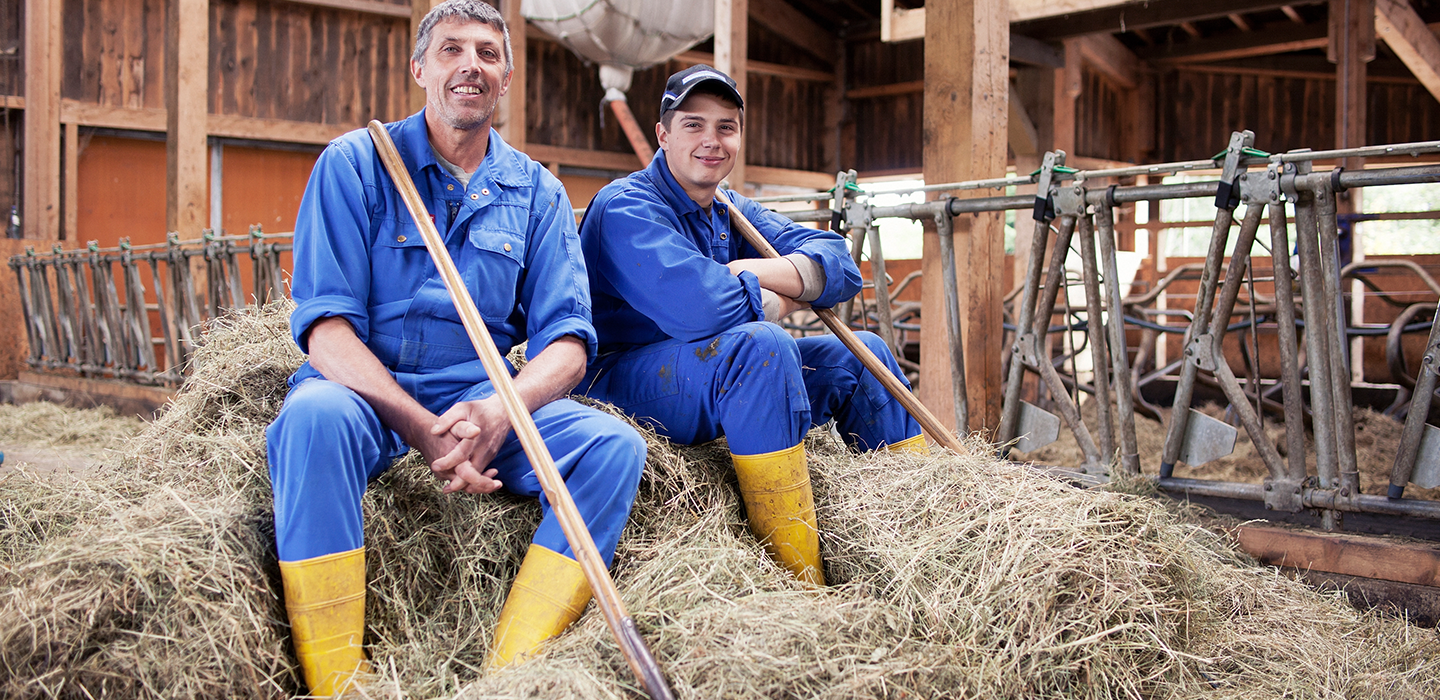 Hubert 41, Vorarlberg Milch