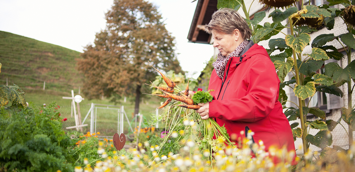 Hubert 38, Vorarlberg Milch