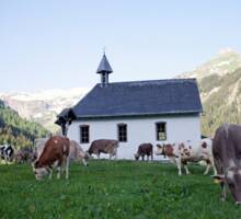 Helga Margreitter 3 Helga Margreitter 3