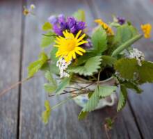 Helga Margreitter 5 Helga Margreitter 5