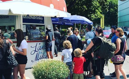 Milchpilz1,-Vorarlberg-Milch