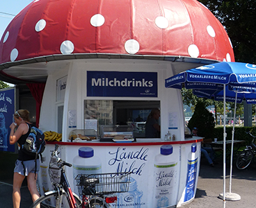 Milchpilz, Vorarlberg Milch Milchpilz, Vorarlberg Milch