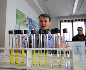 Qualität, Vorarlberg Milch