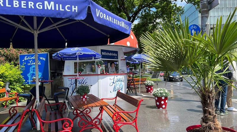 Milchpilz 2023_5