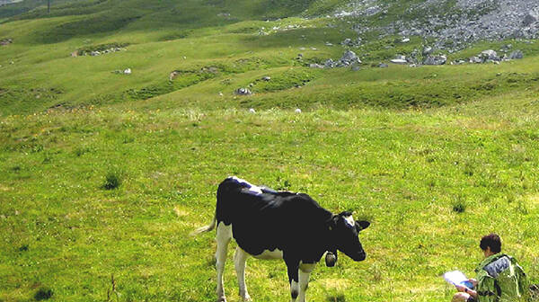 Eingesandte Bilder 11