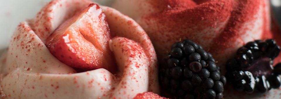 Frozen-Joghurt-2