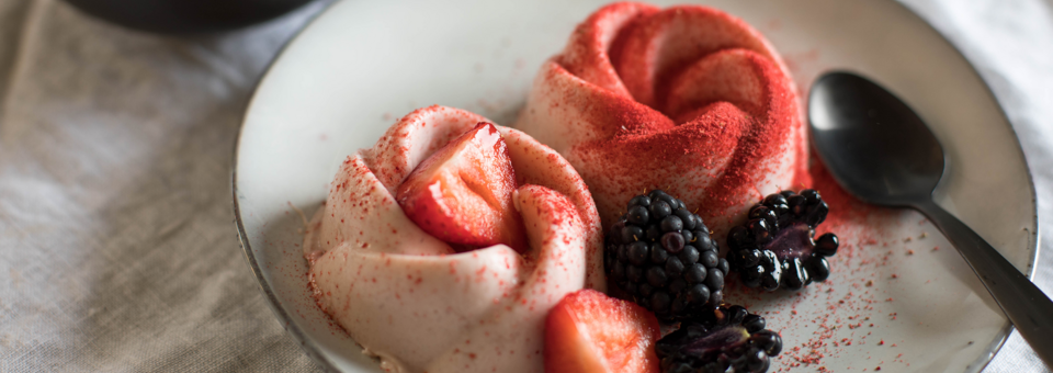 Frozen-Joghurt-1