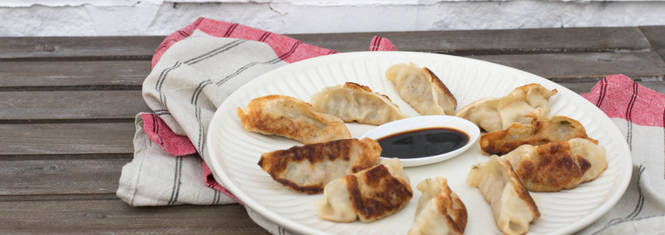 Gyoza-1
