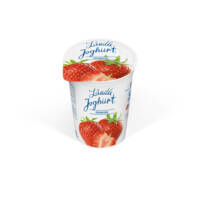 Ländle FJ Erdbeere 500g